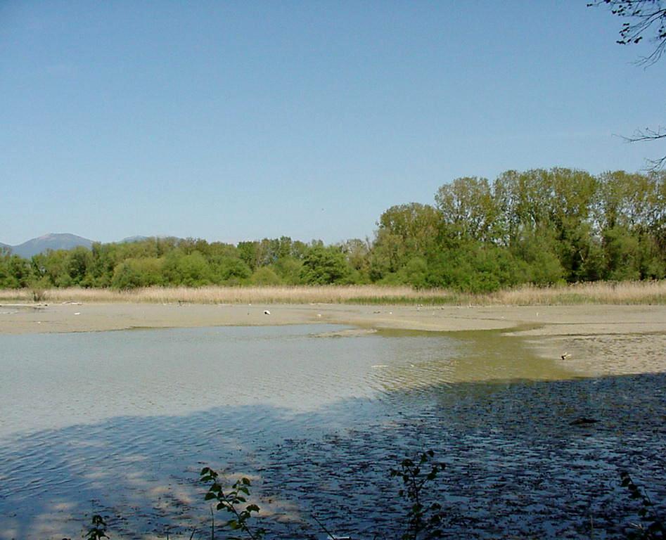 FAUNA LAGO fauna lago:
